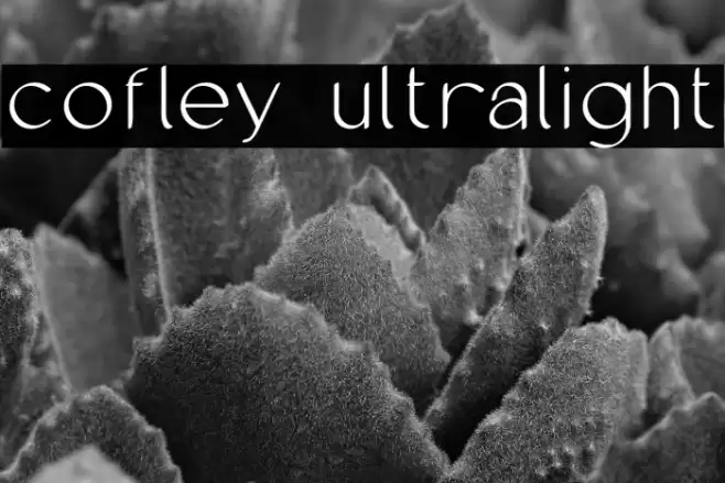 cofley ultralight Font examples