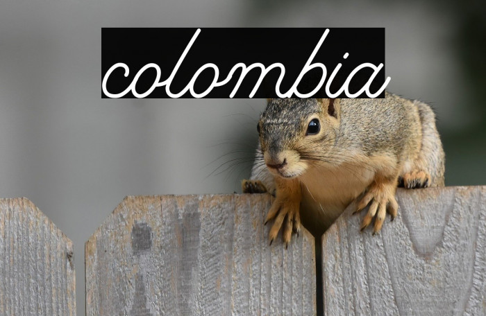 colombia Example 2