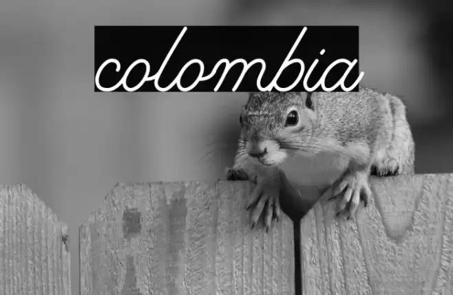 colombia Font examples