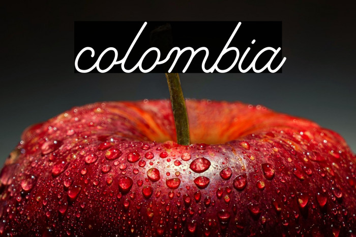 colombia Example 3