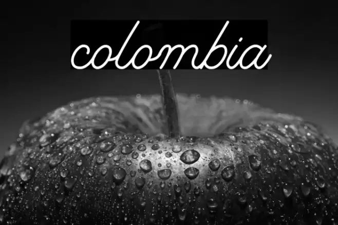 colombia Font examples
