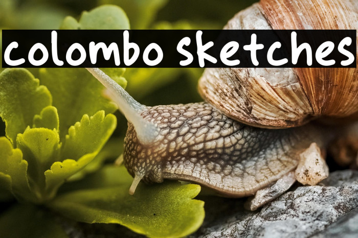 colombo sketches Example 2