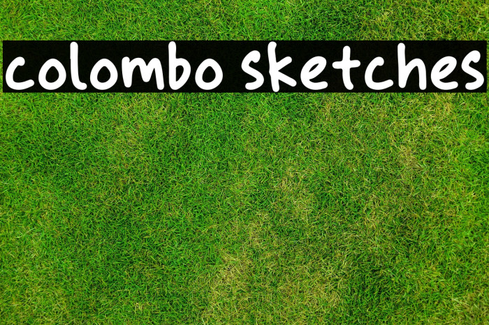 colombo sketches Example 3