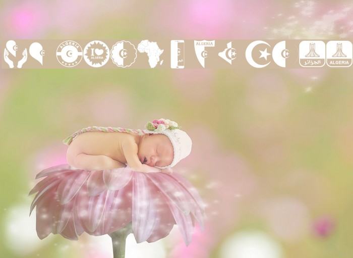 color Morocco Algeria Example 1