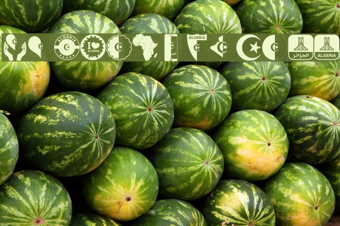 color Morocco Algeria Example 2