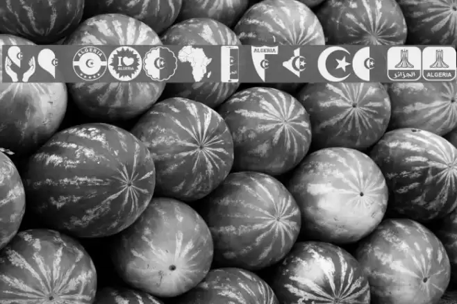 color Morocco Algeria Font examples