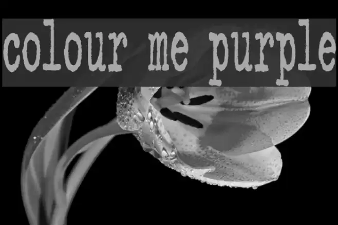 colour me purple Font examples