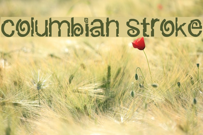 columbian stroke Font examples