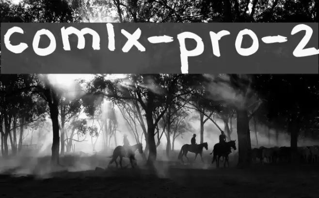 comix-pro-2 フォント examples