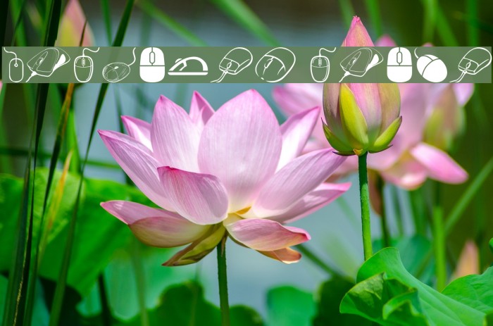 computer mouse Example 3