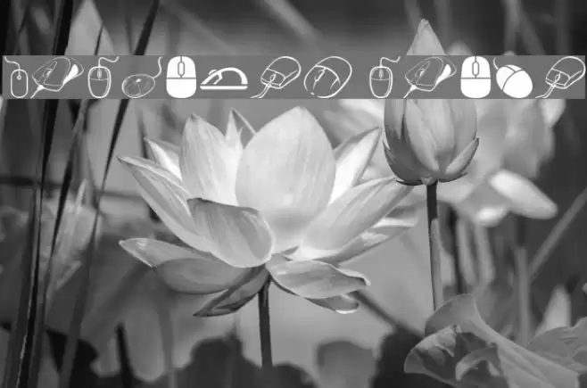 computer mouse Font examples