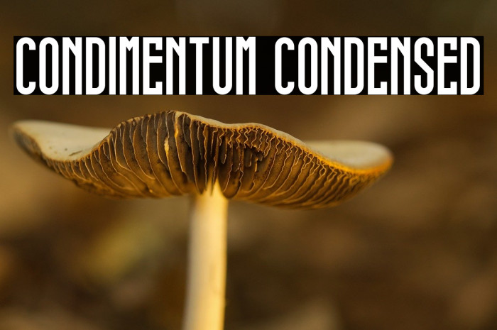 condimentum condensed Example 2