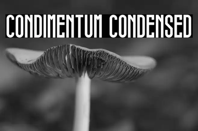 condimentum condensed Font examples