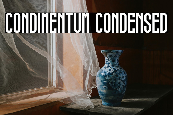 condimentum condensed Example 3