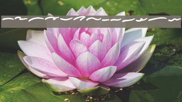 conflict ornamen Example 1