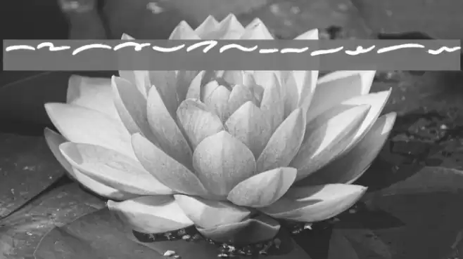 conflict ornamen Font examples