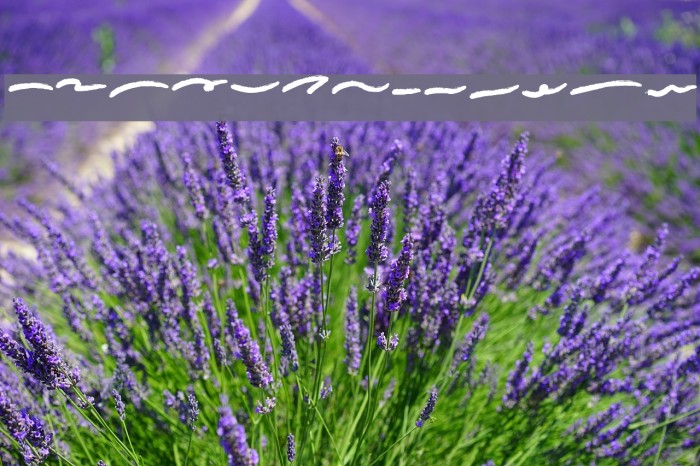 conflict ornamen Example 2