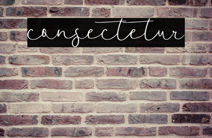 consectetur Example 1