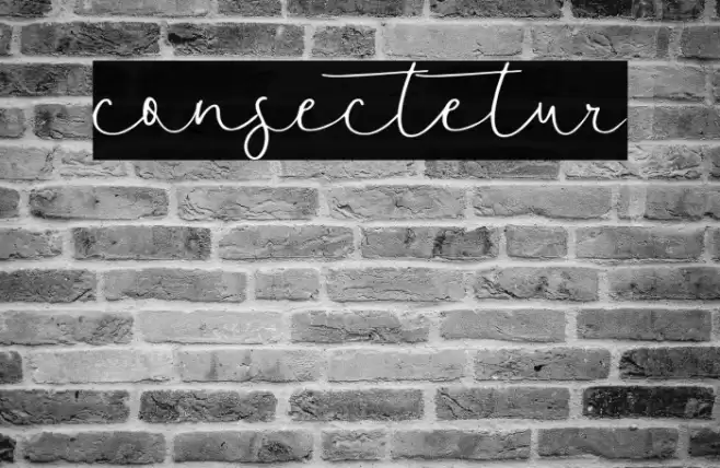 consectetur Font examples