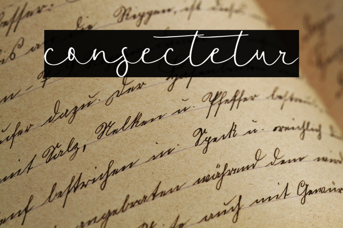 consectetur Example 2