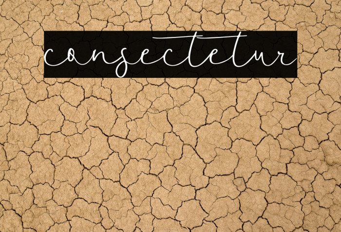 consectetur Example 3