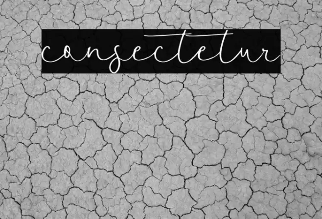 consectetur Font examples