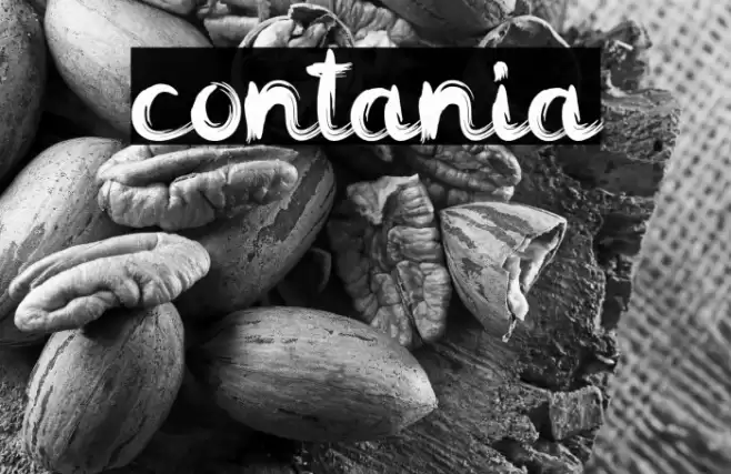 contania Font examples