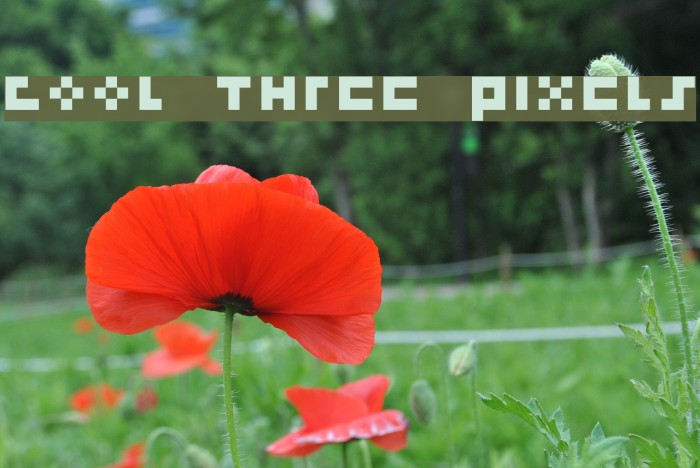 cool three pixels Font examples