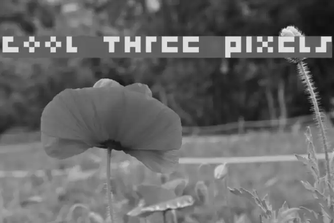 cool three pixels Fonte examples
