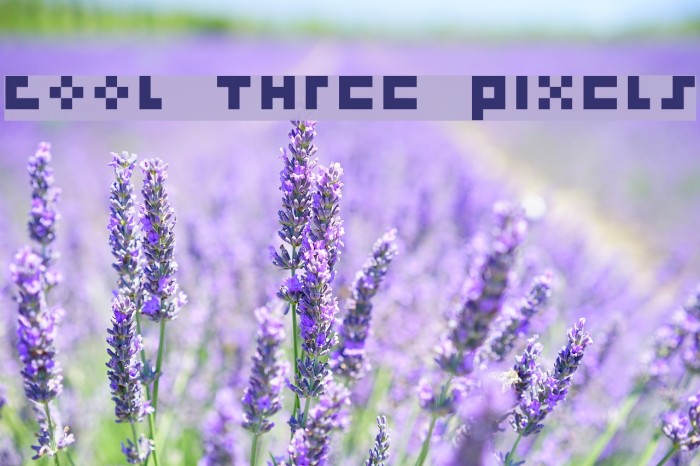 cool three pixels Font examples