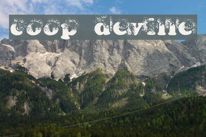 coop deville Font examples