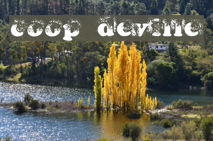 coop deville Font examples