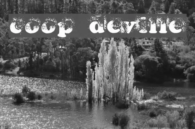coop deville フォント examples