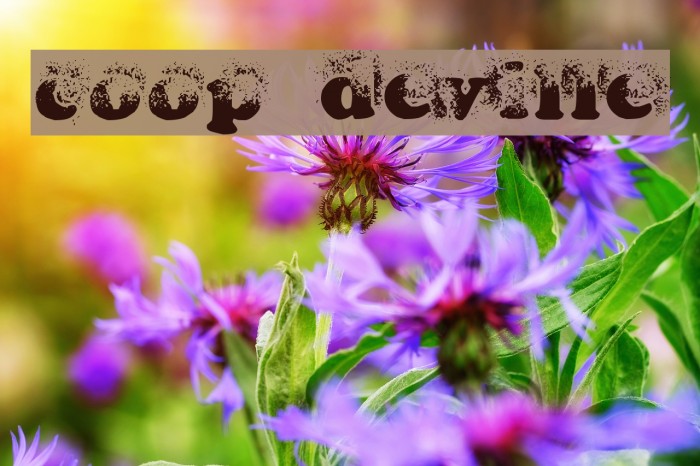 coop deville Font examples