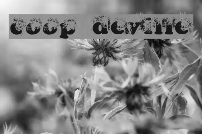 coop deville フォント examples