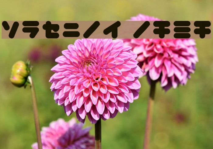 copike kana Example 2