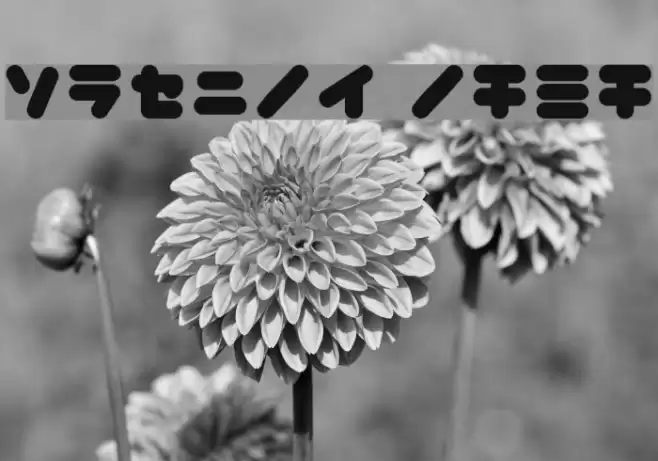 copike kana Font examples