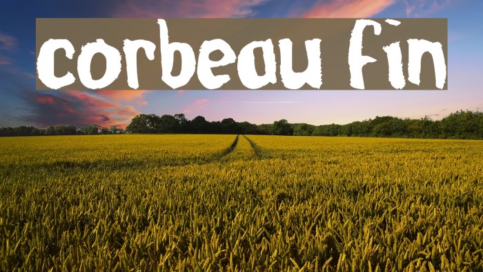 corbeau fin Example 2