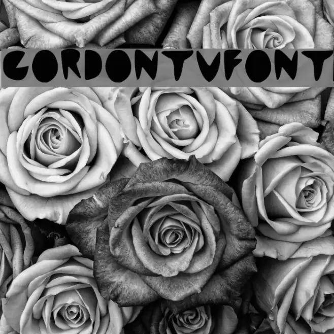 cordontvfont Font examples