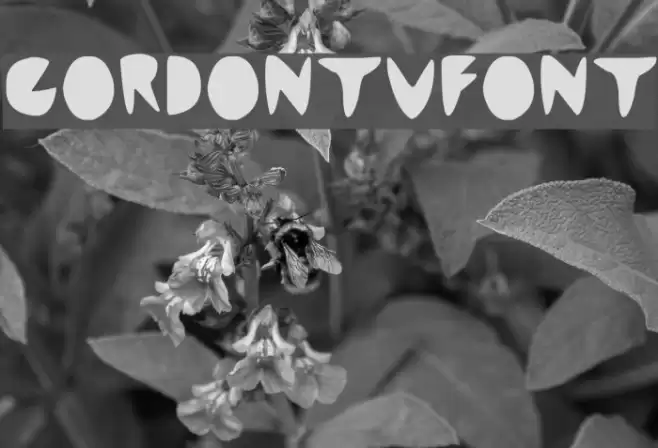 cordontvfont Font examples