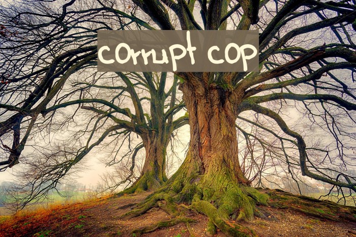 corrupt cop Font examples
