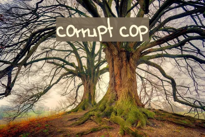 corrupt cop Example 1