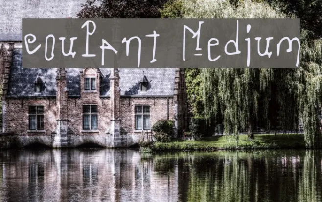 coulant Medium Example 2