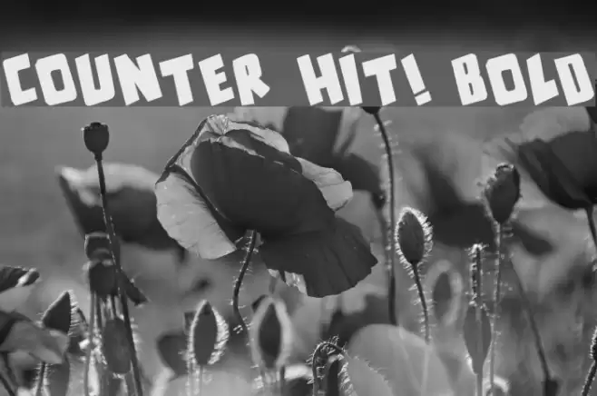 counter hit! Bold Font examples