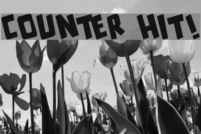 counter hit! Font examples