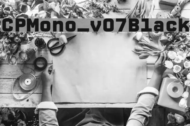 CPMono_v07Black Font examples