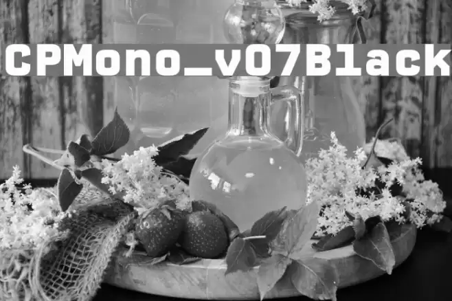 CPMono_v07Black Font examples