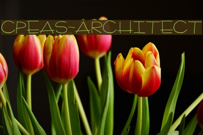 CPeas-Architect Font examples