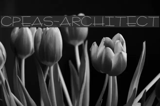 CPeas-Architect フォント examples