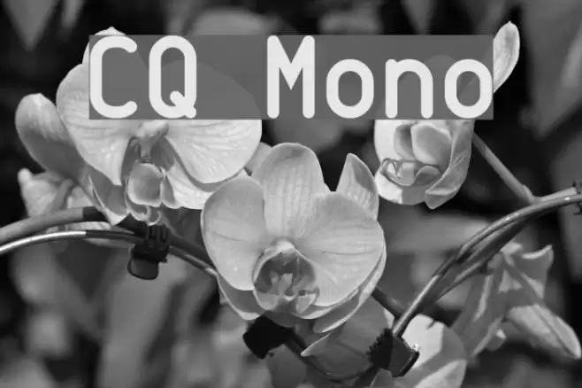 CQ Mono フォント examples